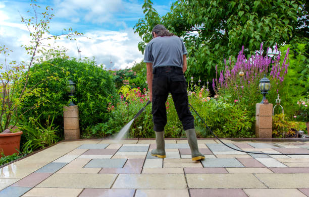 Best Driveway Pressure Washing  in Hartley, CA